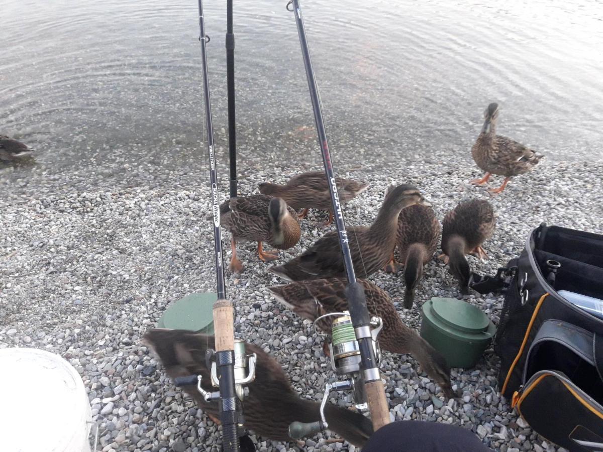 Wildente Am See Maishofen Εξωτερικό φωτογραφία